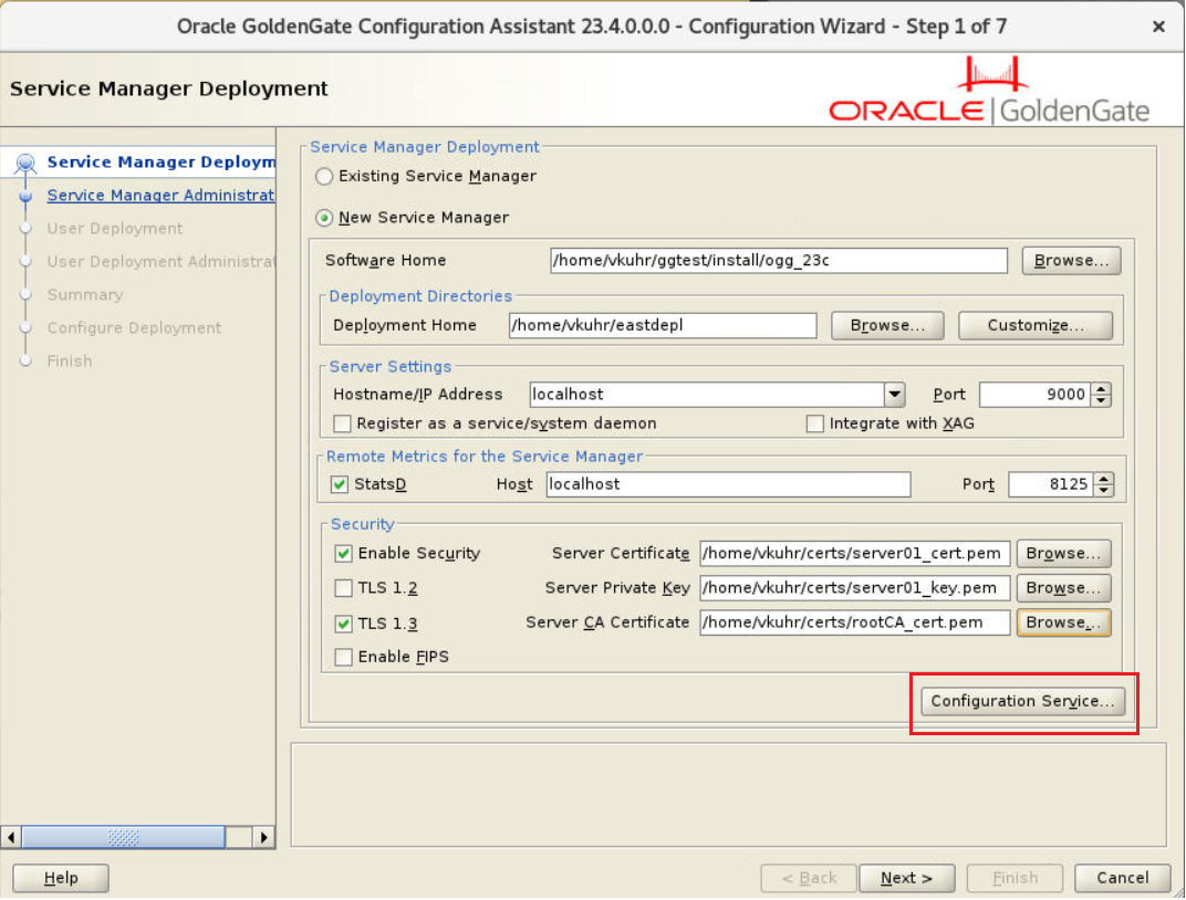 Configuration Service button in OGGCA Service Manager Options screen