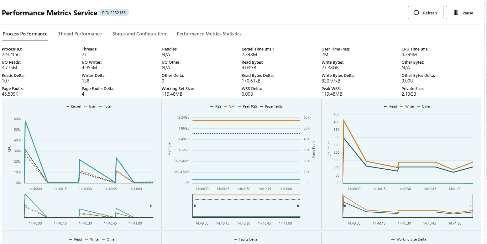 Process Performance tab in the Performance Metrics Service page
