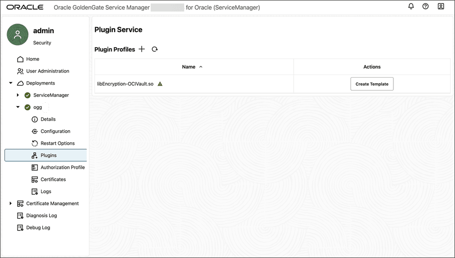 Service Manager plugin profile for encryption profile is disabled.