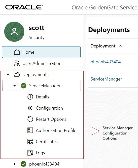 Service Manager Configuration options Service Manager Configuration options