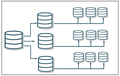 Central database with a headquarter sending data to state, which in turn sends data to the County level.