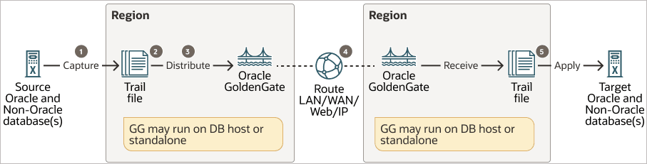 Hub-based configuration for a local Oracle GoldenGate deployment. Hub-based configuration for a local Oracle GoldenGate deployment.