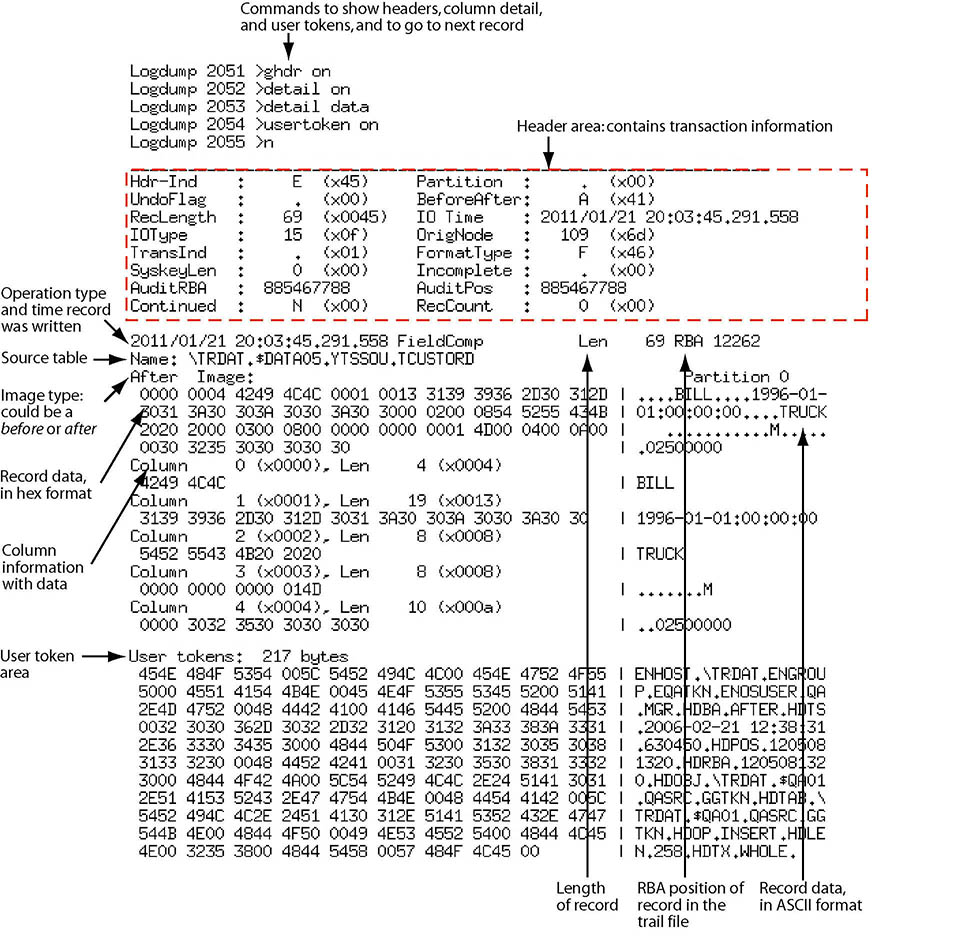 Description of Figure 1-2 follows