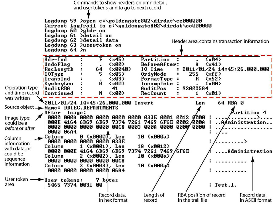 Description of Figure 1-1 follows