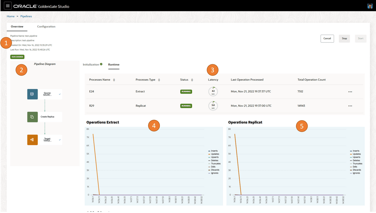 Monitoring the Pipelines
