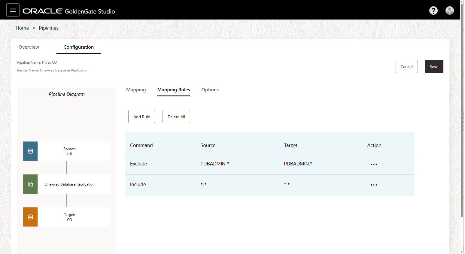 Mapping rules options. Mapping rules options.