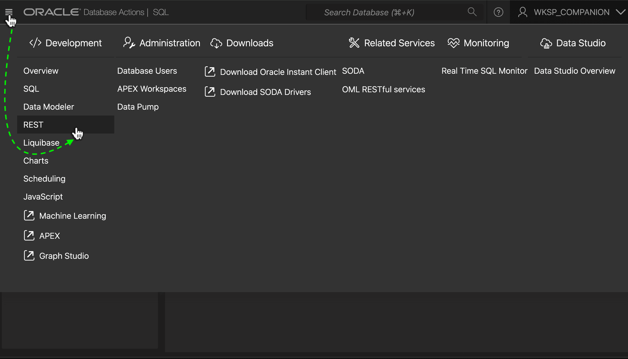 Navigating to View and Define REST Services in SQL Developer Web