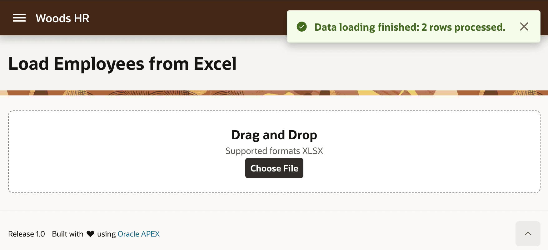 Success Message Confirms Number of Rows Loaded