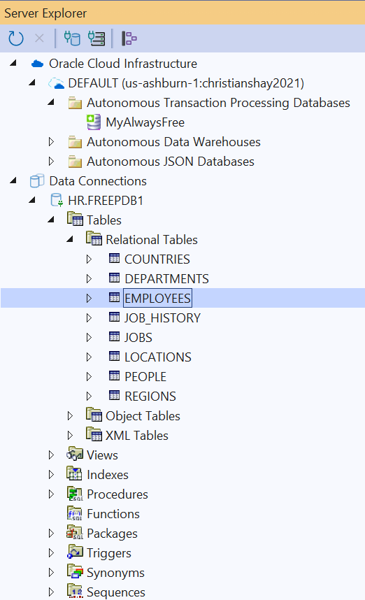 Screenshot of What is Server Explorer Integration