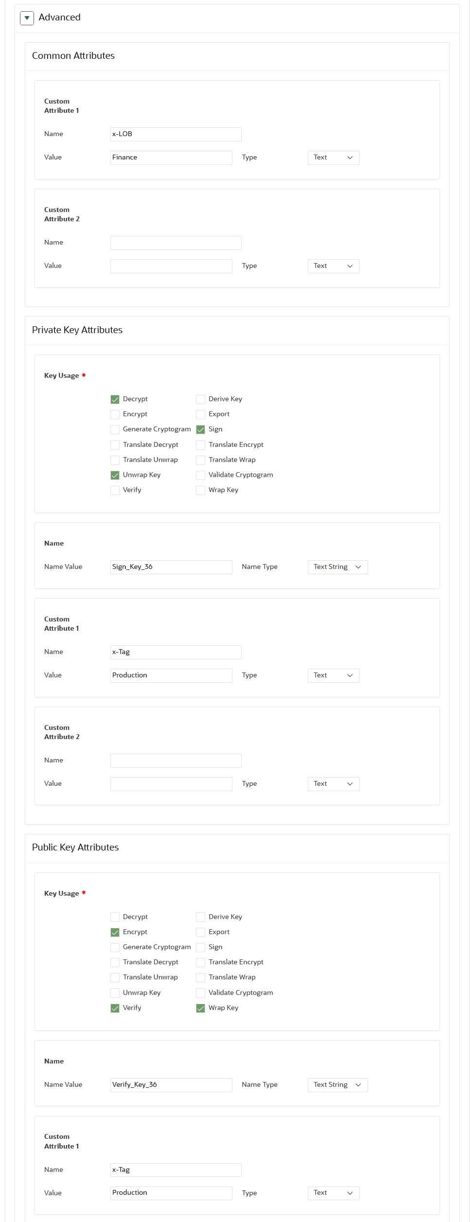 Description of 217_advanced_attributes_for_public_private_key_pair.png follows
