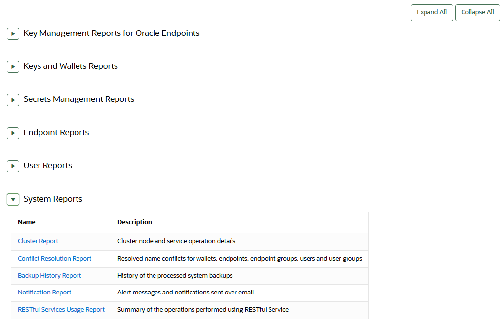 Description of 21_system_report.png follows Description of 21_system_report.png follows