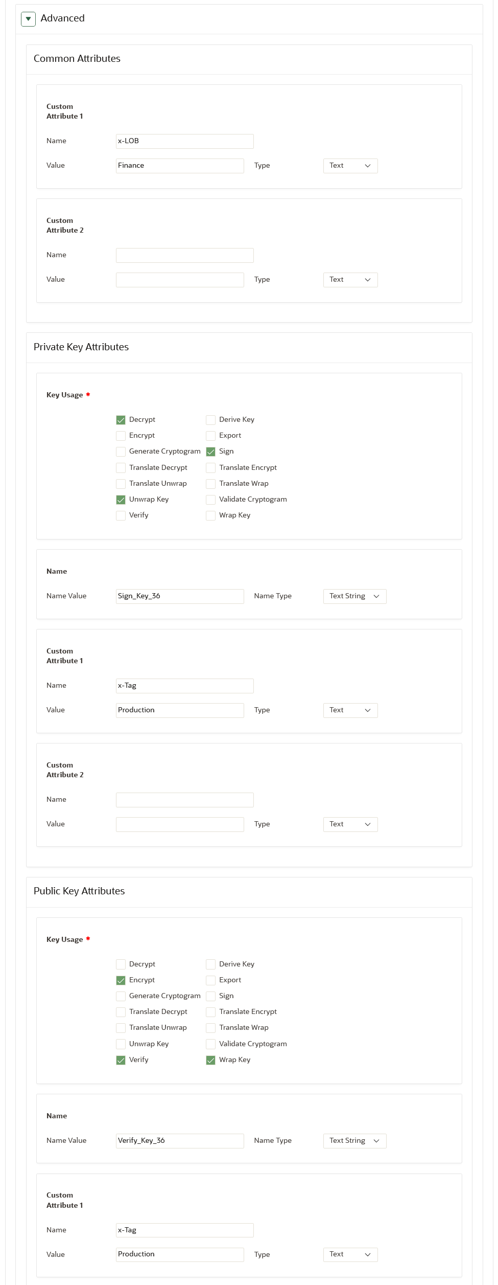 Description of 217_advanced_attributes_for_public_private_key_pair.png follows