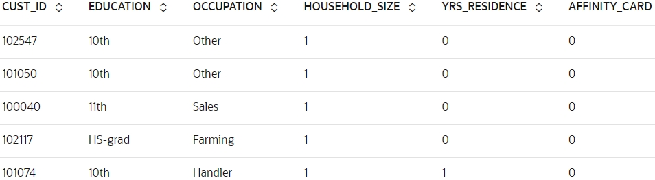 Shows top 5 tows of SUPPLEMENTARY_DEMOGRAPHICS