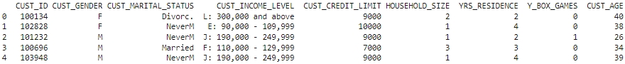 shows customer data