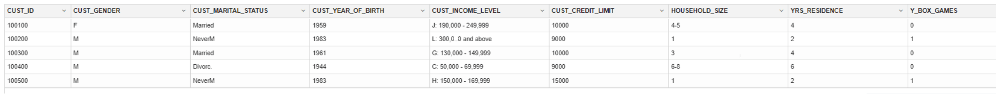 This images shows the first five rows of CUST_DF data