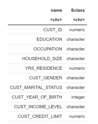 This image shows the datatype of the columns in CUST_DF with the @desc operator