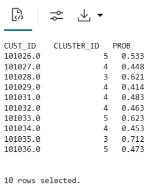 This image shows the first 10 rows of the scoring snapshot table.