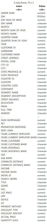 Displays the data types of the attributes in the dataset. Displays the data types of the attributes in the dataset.