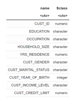 This image shows the datatype of the columns in CUST_DF with the @desc operator