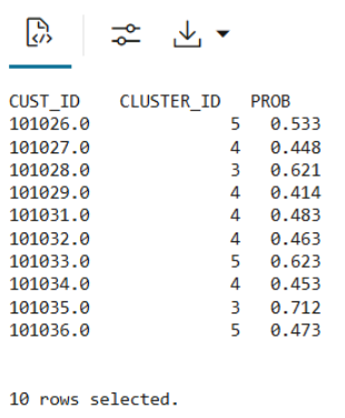 This image shows the first 10 rows of the scoring snapshot table.
