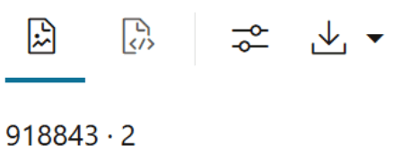 The image shows that the shows that the dataset contains 918843 rows and 2 columns.