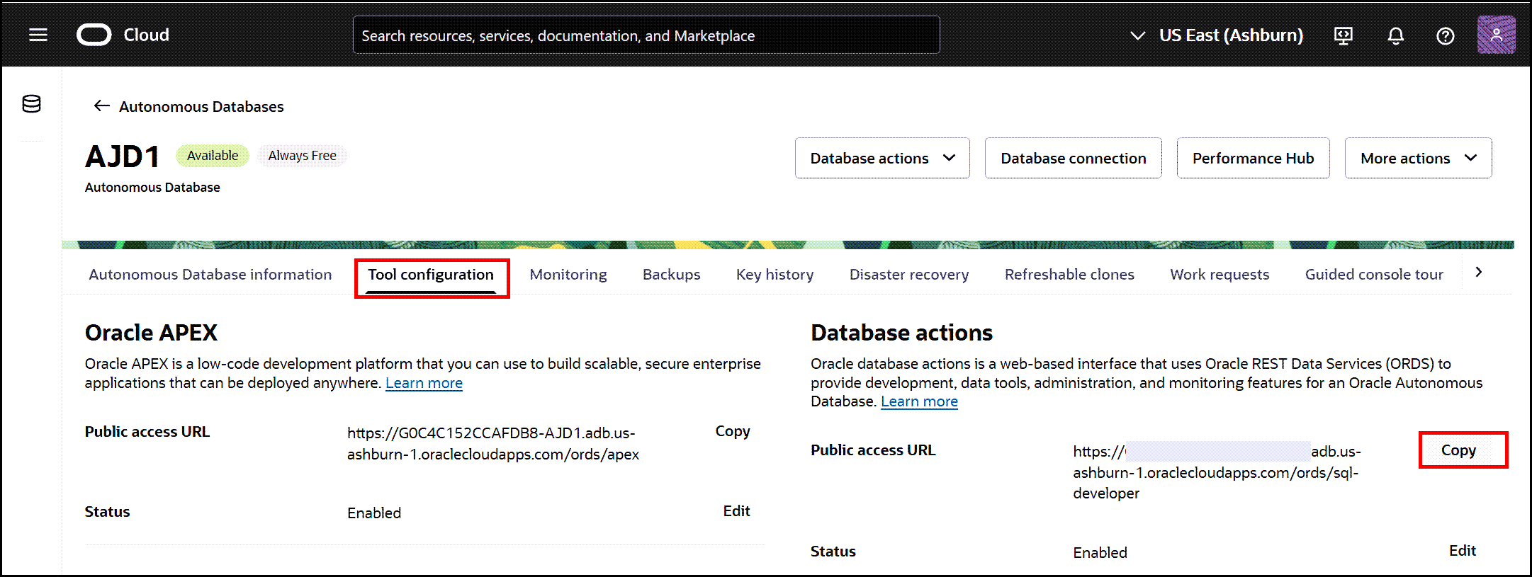 An example of selecting Tool configuration tab and Database actions Copy button for the public access URL for Database actions.