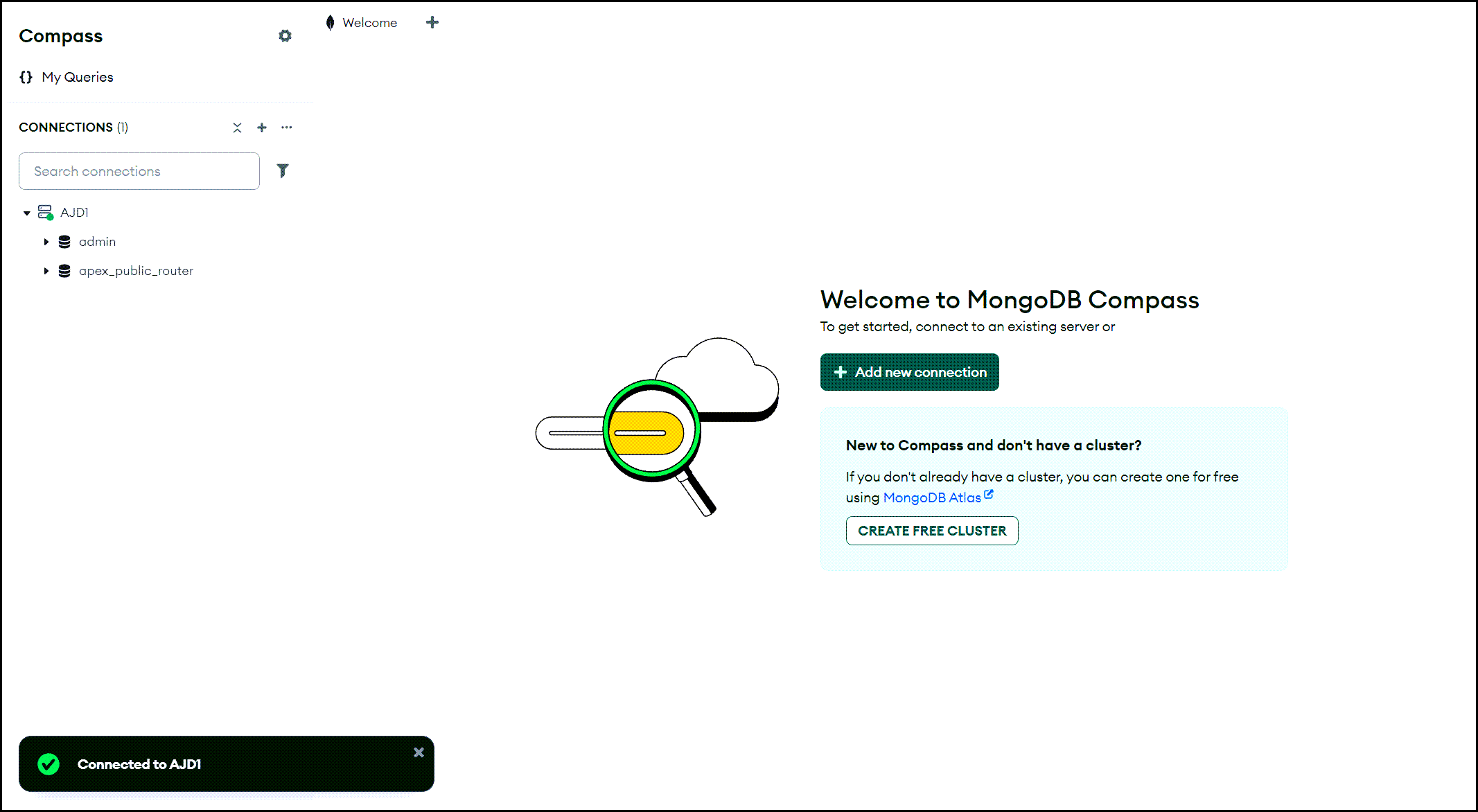 An example of a connected Oracle Database in the Mongo Compass tool.
