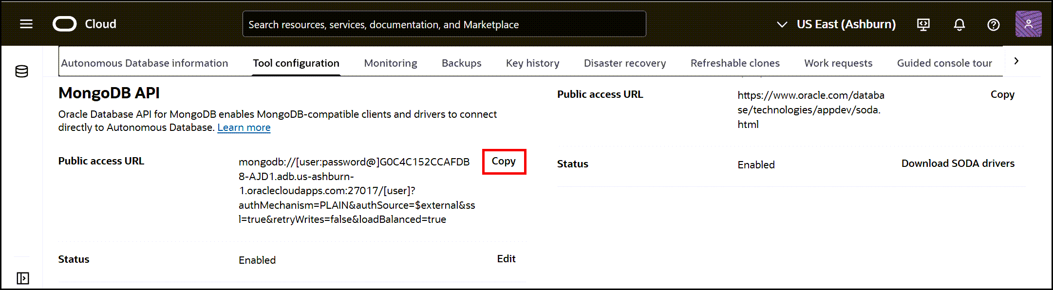 An example of selecting the Copy link for the public access URL information for your database.