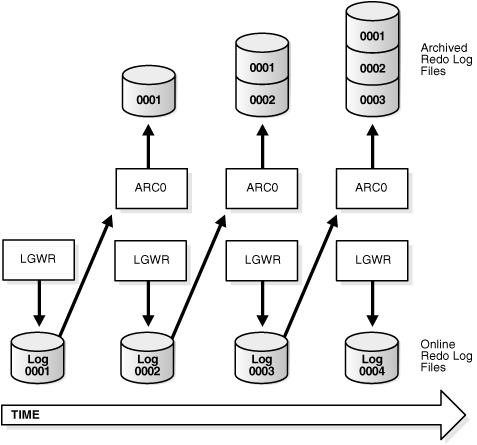 Description of Figure 10-1 follows Description of Figure 10-1 follows