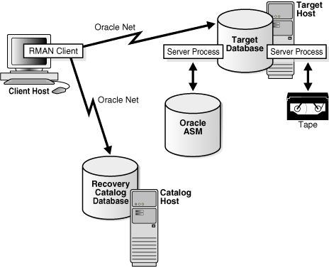 Description of Figure 22-3 follows