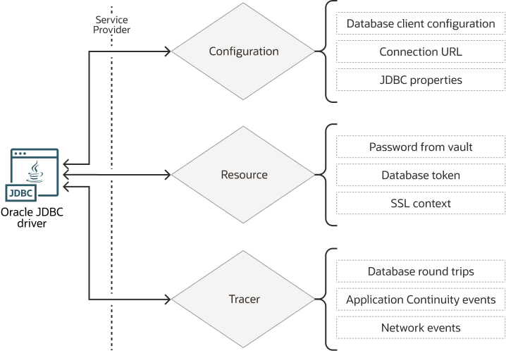 This image illustrates the Service Provider extensions.