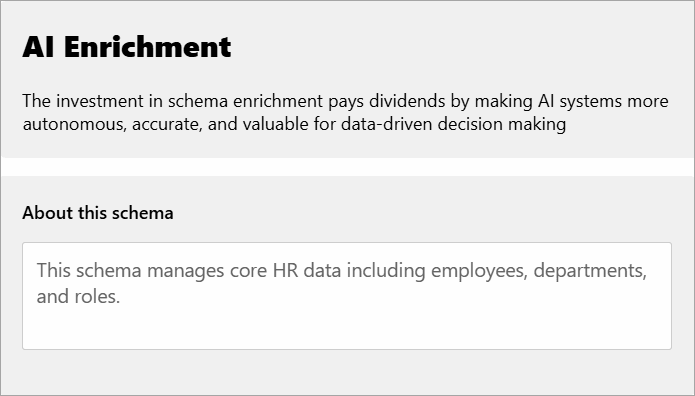 The About This Schema field in the AI Enrichment Dashboard. The About This Schema field in the AI Enrichment Dashboard.