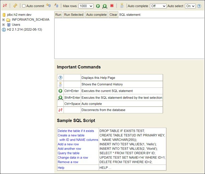 database console