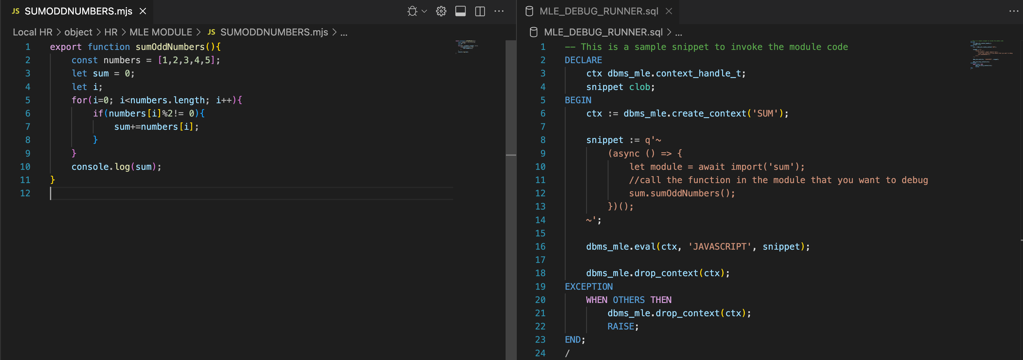 Description of mle_debug_runnerfile.png follows Description of mle_debug_runnerfile.png follows