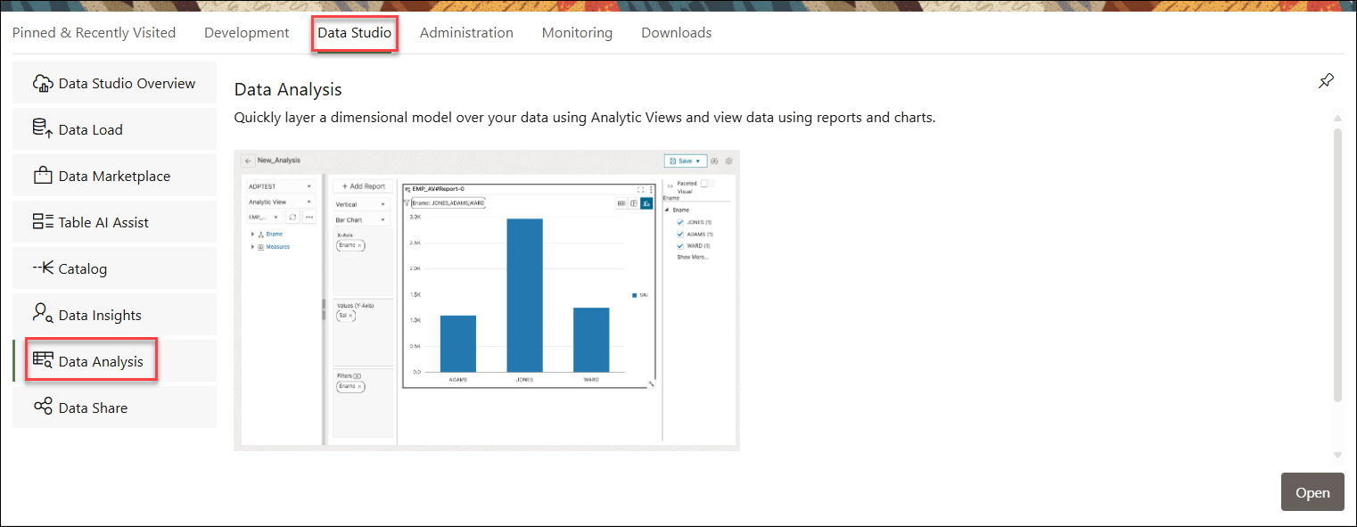 Description of data-analysis-pane.png follows
