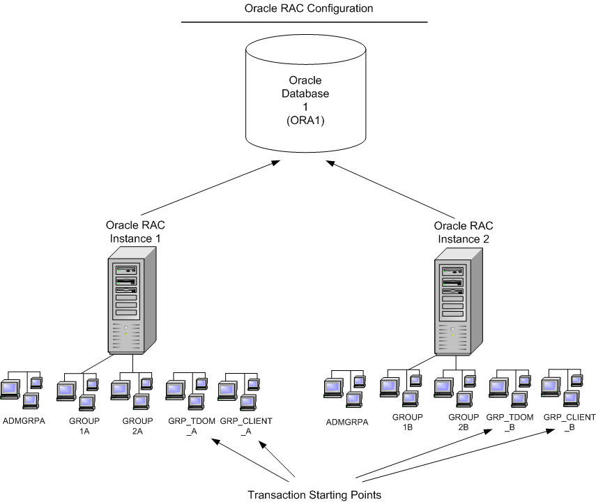 Assigning Transactions to Special Oracle RAC Instances Diagram