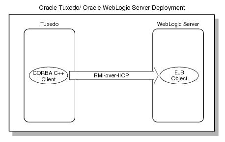 Describes the Direct EJB Connectivity Using RMI-over-IIOP and IDL Interfaces.