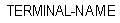 TERMINAL-NAME. All caps.
