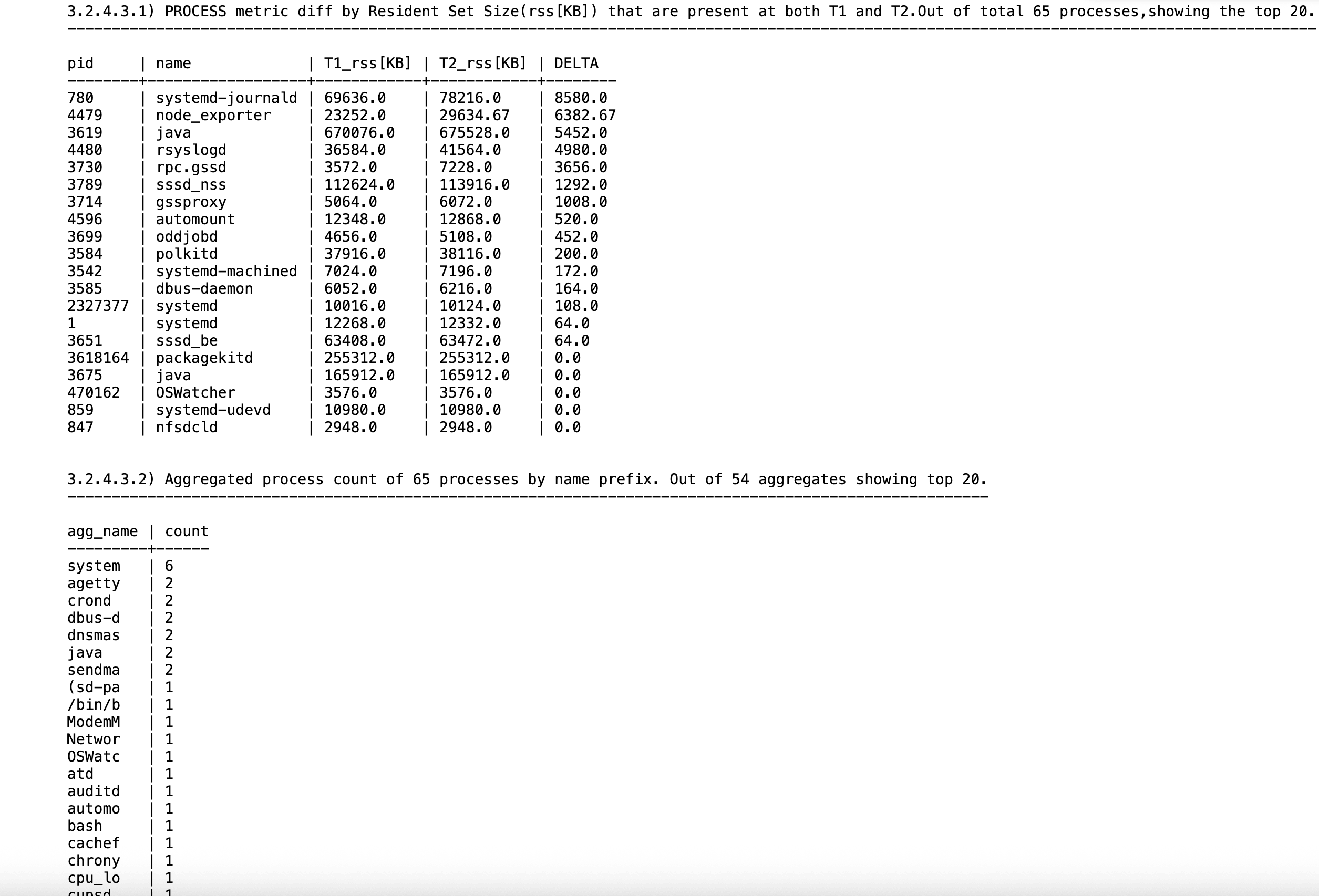 This image illustrates Aggregation of Processes by Name Prefix in Oracle Orachk report This image illustrates Aggregation of Processes by Name Prefix in Oracle Orachk report