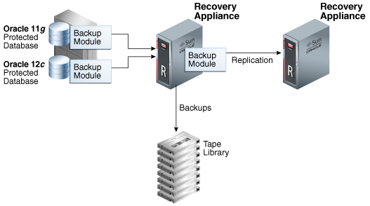 Description of Figure 3 follows