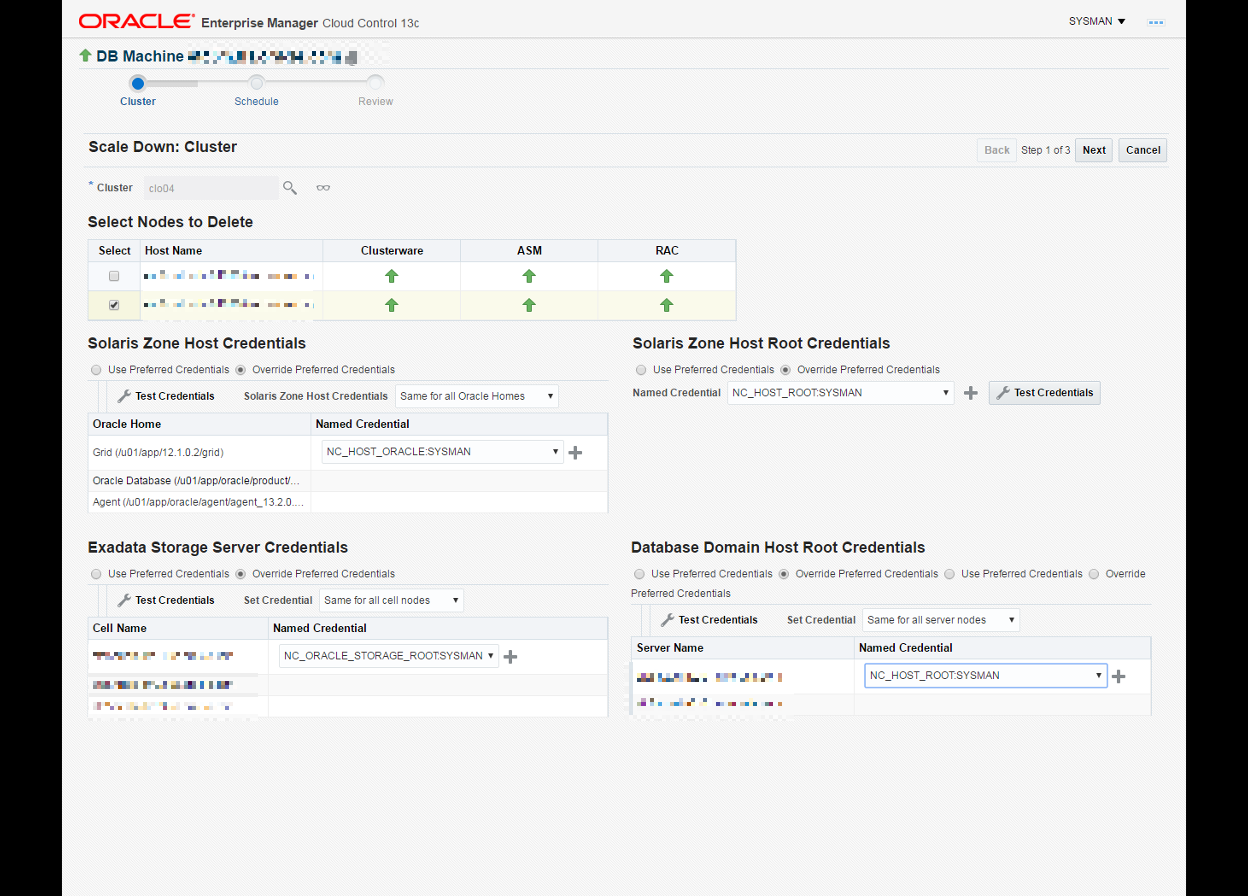 This image shows what the database domains root host credentials are.