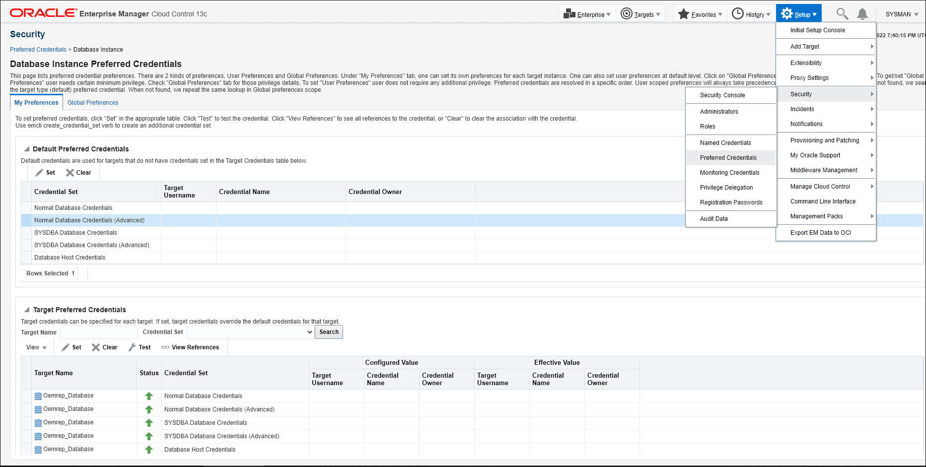 Graphic shows the preferred credentials page for Kerberos user. Graphic shows the preferred credentials page for Kerberos user.