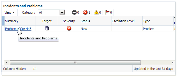 Accessing Incident/Problem Information