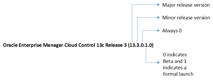 Core platform release number format