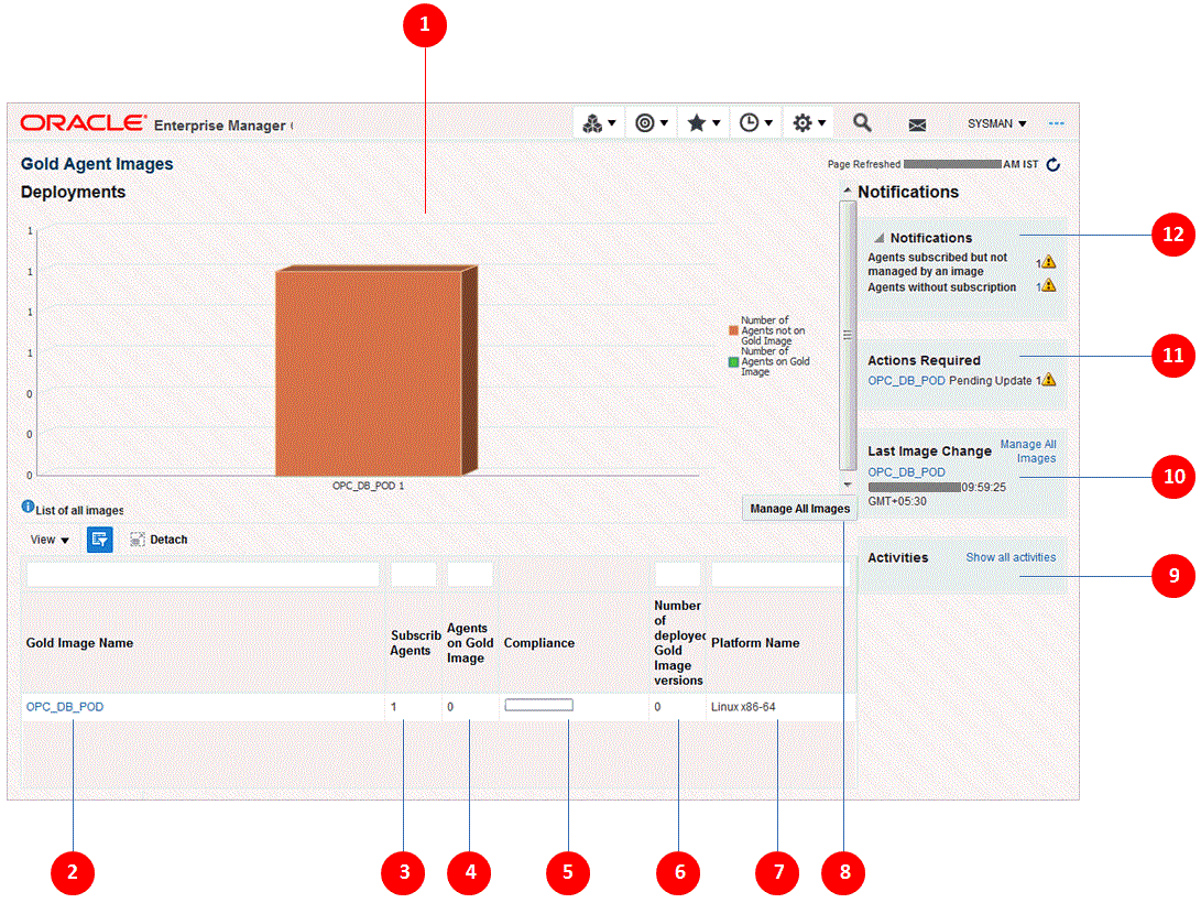 Gold Agent Image Console Gold Agent Image Console