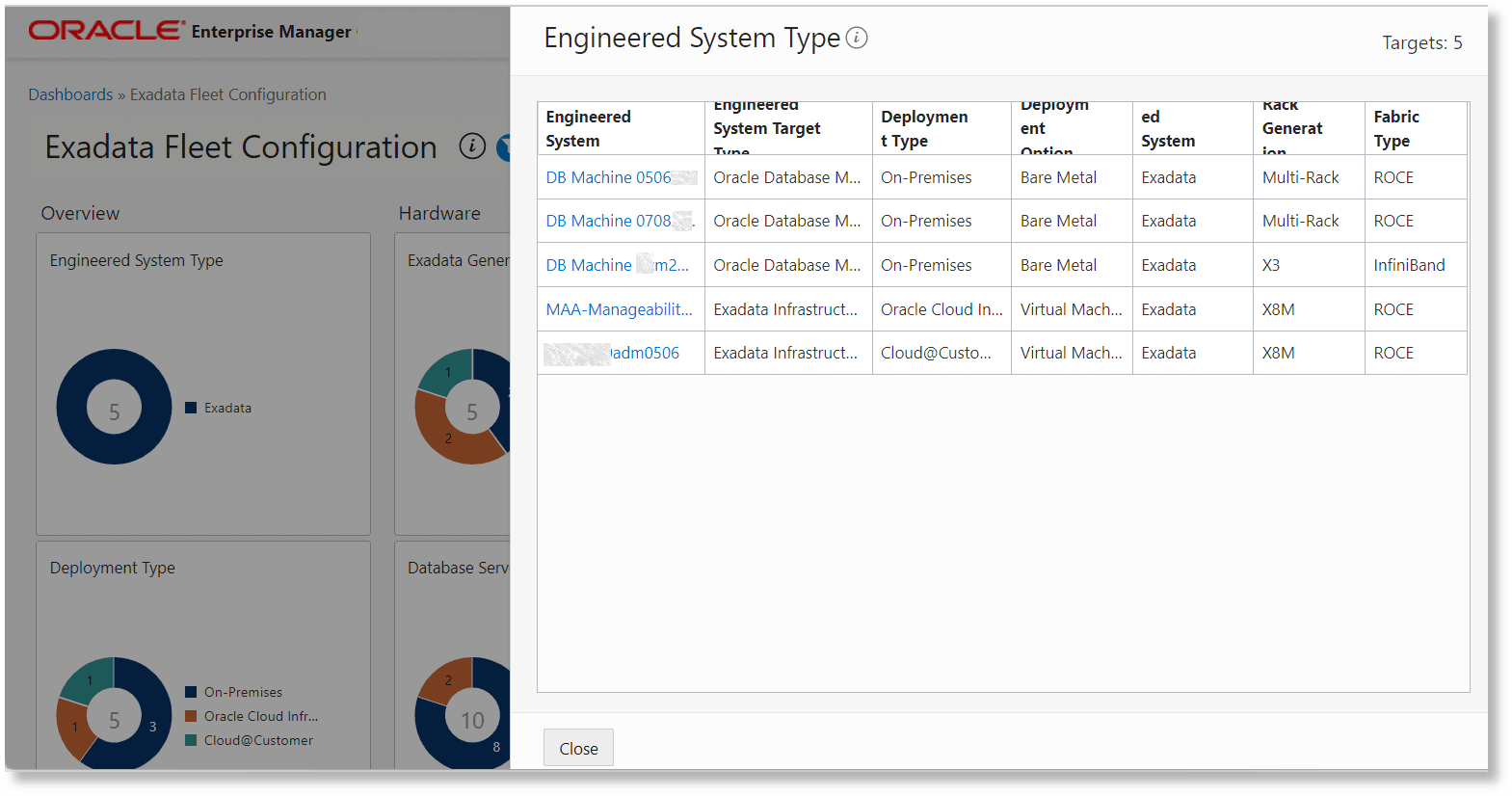 details displayed when the number at the center of the Engineered System Type ring chart is clicked