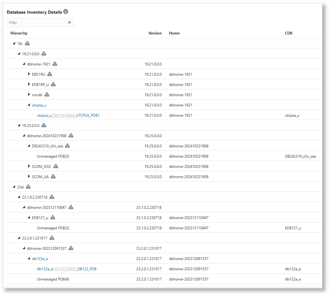 Database Inventory Details