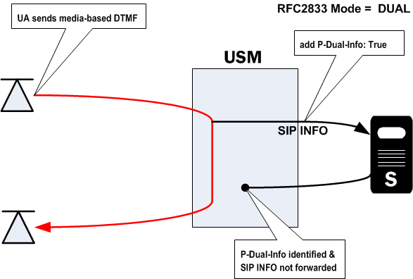 The P-Dual-Info Header diagram is described above. The P-Dual-Info Header diagram is described above.