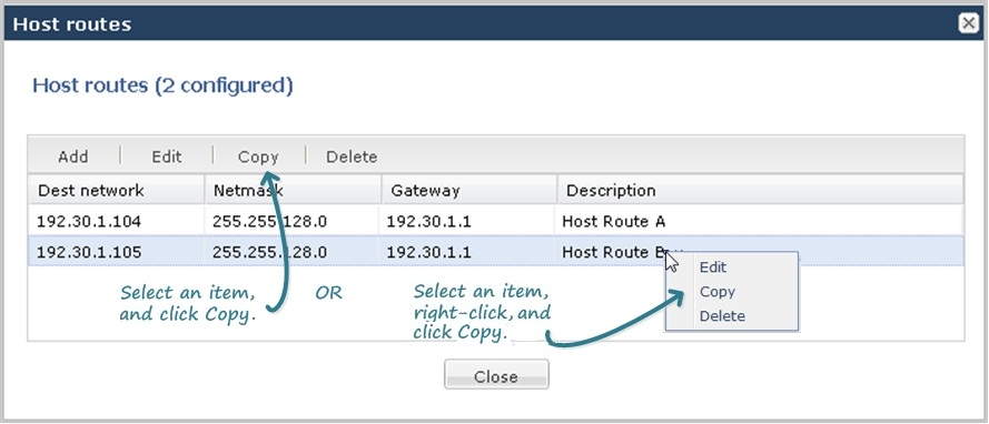 This image is a screen capturre of the host routes configuration dialog showing two copying methods. You can either click the copy buttonon in the dialog header or right-click an item in the list, and click copy from the drop down list. This image is a screen capturre of the host routes configuration dialog showing two copying methods. You can either click the copy buttonon in the dialog header or right-click an item in the list, and click copy from the drop down list.