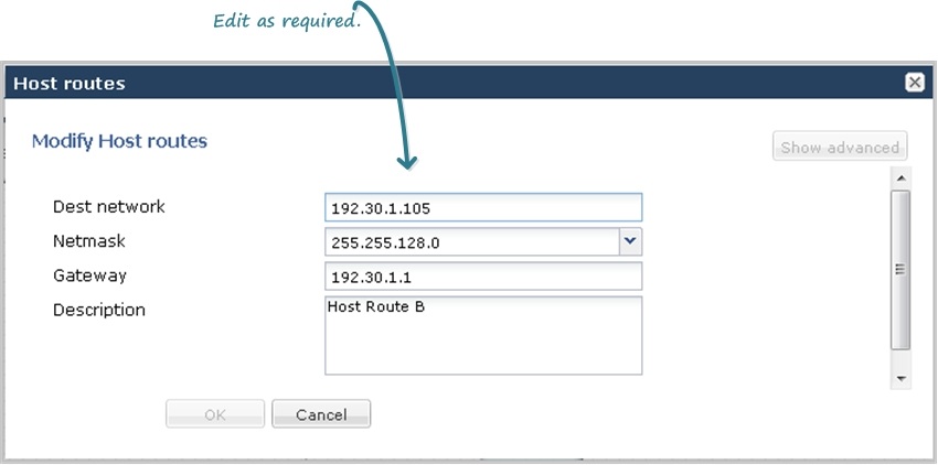This image is a screen capture of the host routes editing dialog, where you set the destination network, netmask, gateway, and description for the route. This image is a screen capture of the host routes editing dialog, where you set the destination network, netmask, gateway, and description for the route.